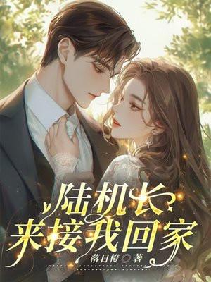 陆机长我们不约全文免费阅读