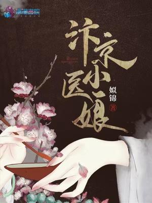 汴京小医娘似锦
