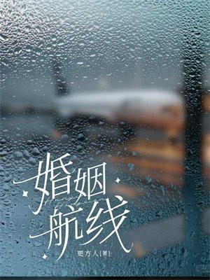 婚姻航线全文