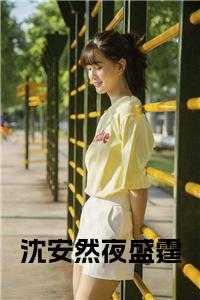 女主沈安然男主夜盛霆