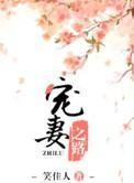 宠妻之路百度百科