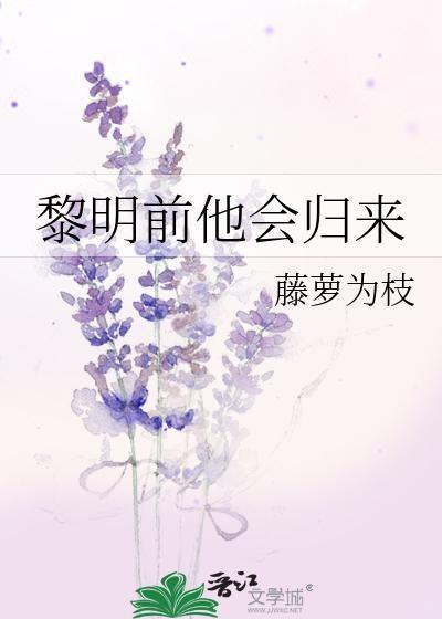 黎明前他会归来讲的是什么