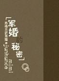 军婚的秘密百度
