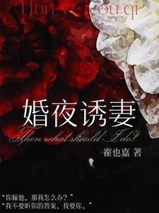 言情都市婚婚欲睡