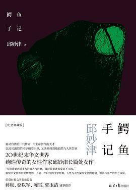 鳄鱼手记主要讲的什么