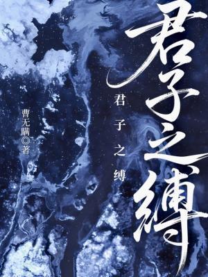 君子之缚曹无瞒TXT全本