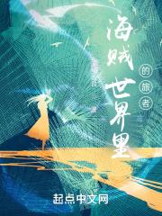 海贼王世界探索者攻略