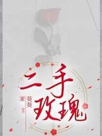 二手玫瑰东边不亮西边亮歌曲