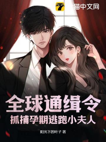 全球通缉令老婆离婚无效免费阅读