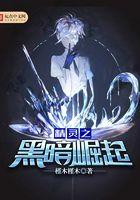 精灵之黑暗崛起txt校对版