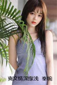 情深缘浅秦深元浅免费阅读