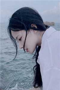 缝补好的纸鸢图片