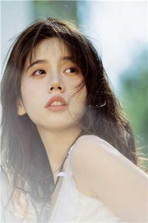 凋零黎明的蝴蝶图片