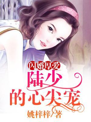 闪婚厚爱陆少宠妻入骨