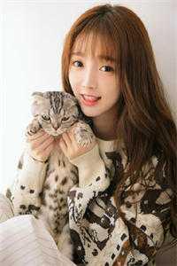 葬神大陆改名叫什么了