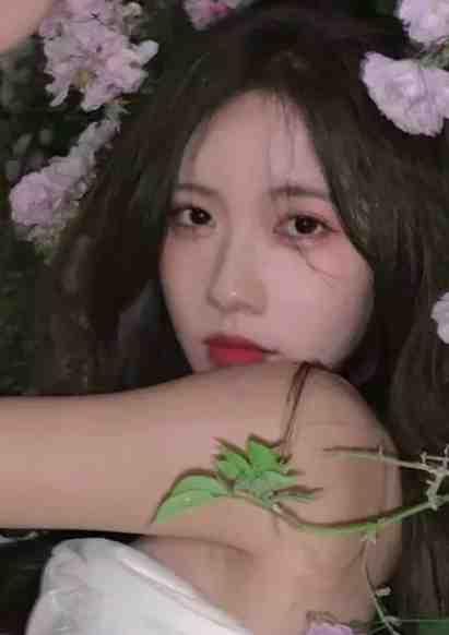 她走进来所踩的步伐