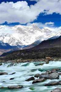 原来他很有钱念稚