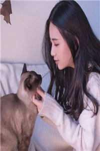 黎先生的甜甜圈免费阅读