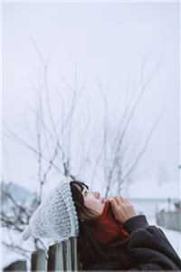 美强惨垮起了脸免费阅读