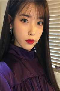 不会枯萎的花多少钱