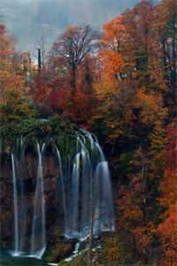 被拐后我重生了无弹窗