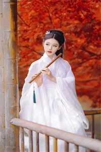 故事终章暗示什么情感