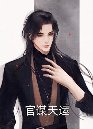 这次不复婚了全文阅读