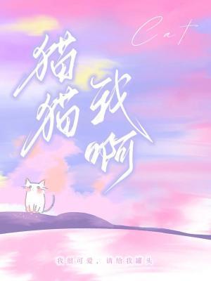 猫猫我啊番外全文免费阅读