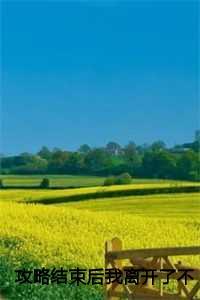 攻略之后的彩蛋情节