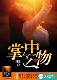 掌中之物讲的什么