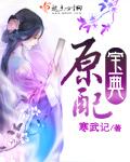 原配宝典全文阅读 免费