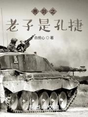 亮剑之老子是孔捷 第585章