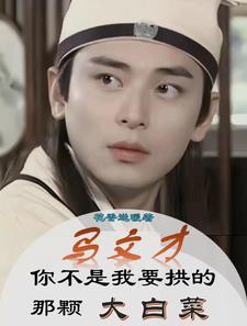 有没有马文才的