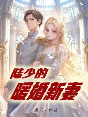 陆少的暖婚新妻主角