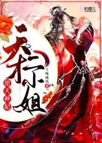 逆天神妃天才二小姐人物介绍