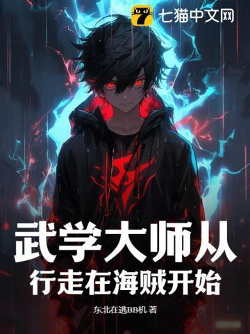 武学大师从行走在海贼开始的