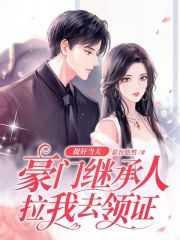 豪门继承人拉着