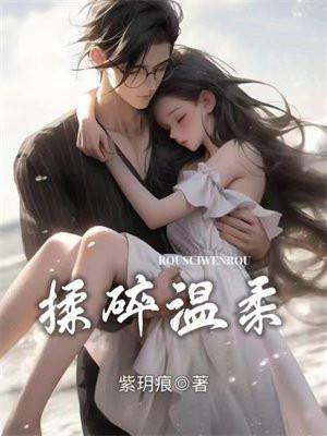 揉碎温柔九棂TXT