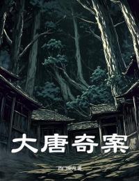 大唐奇案电视剧