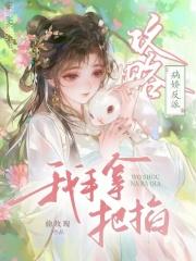 攻略病娇反派我手拿把掐作文