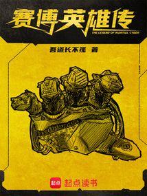 赛博英雄传笔趣阁