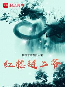 红楼琏二爷笔趣阁免费阅读无弹窗