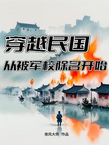 穿越民国时期当军阀的