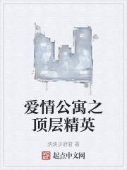 爱情公寓之极