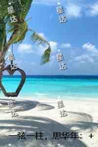 一弦一柱思华年上