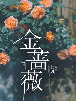 金蔷薇作者认为当散文达到完美的境界它实质上是