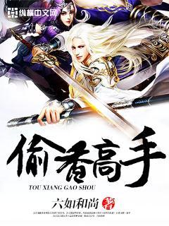 偷香高手无删减版本