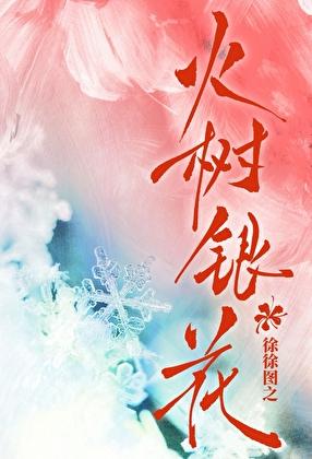 火树银花合 星桥铁锁开