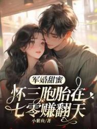 主角陆晓雨全章节阅读免费