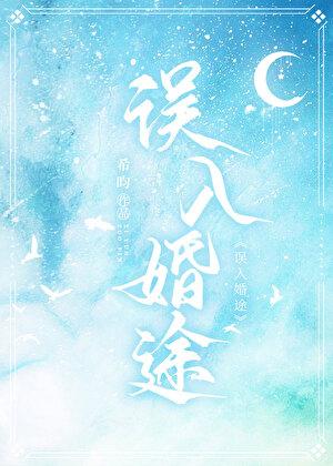 误入婚途gltxt